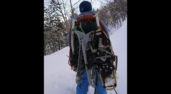 marc2028329.jpg