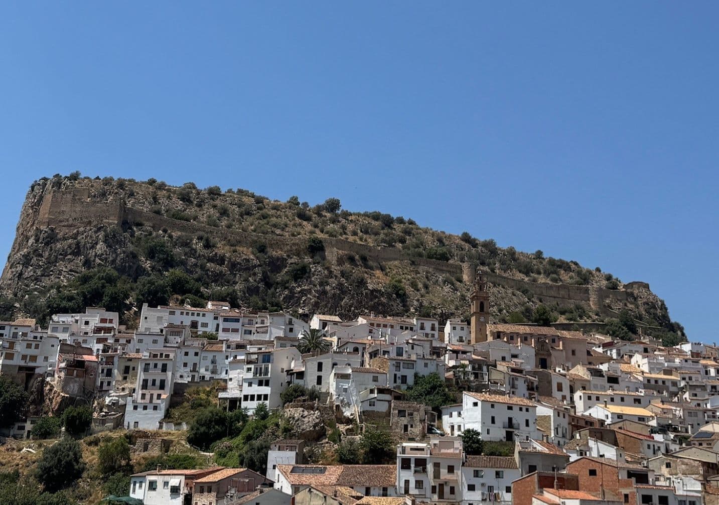 image1.jpg